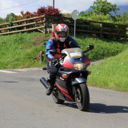 TPV 2015