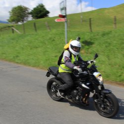 TPV 2015