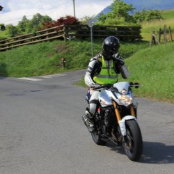 TPV 2015
