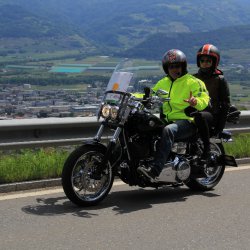 TPV 2015