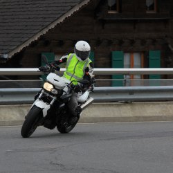 TPV 2015