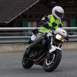 TPV 2015