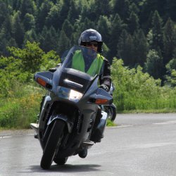 TPV 2015