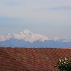 IMG_4837